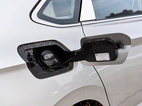 2025�� 300TSI DSG��Խ��