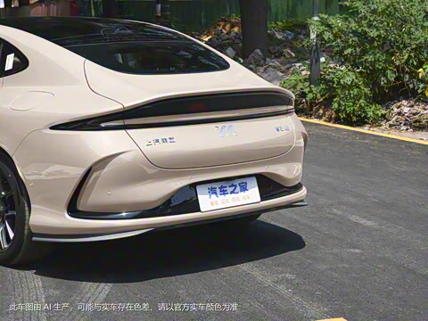 2024�� Max ��������