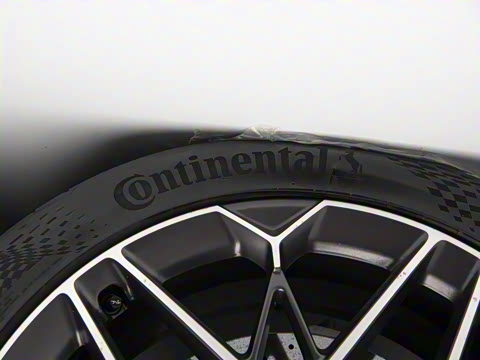 2025�� EV ����������