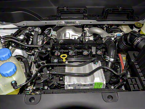 2025�� 210Max���Ȱ� 5��