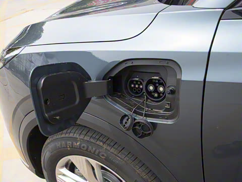 2025�� 445km ��ѡ��