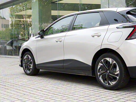 2023�� 415km �����ھ�������