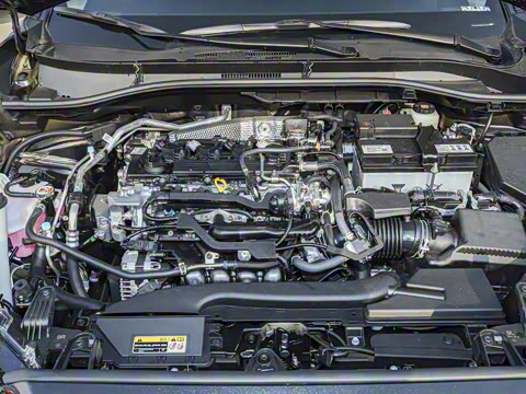 2024�� 2.0L CVT��Ӣplus��