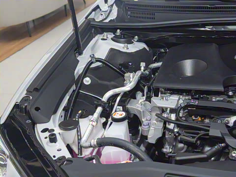 2024�� ˫�� 2.0HXS �˶�Plus��