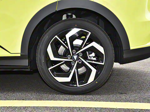 2024�� 215Max ���̰�