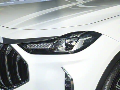 2024�� �ھ��� 1.5T DCT�ھ�MAX 7��