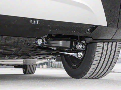 2025�� ������������