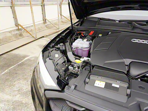 2025�� 55 TFSI quattro S line��ѩ�˶���