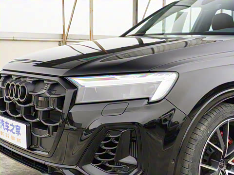 2025�� 55 TFSI quattro S line��ѩ�˶���