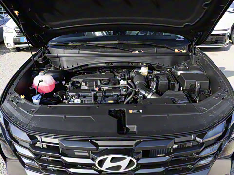 2025�� ;ʤL 1.5T ��Ӣ��