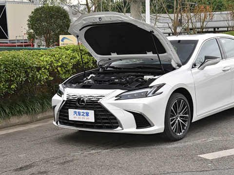 2025�� 300h ������