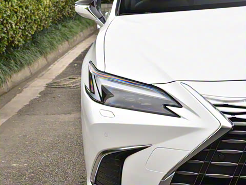 2025�� 300h ������