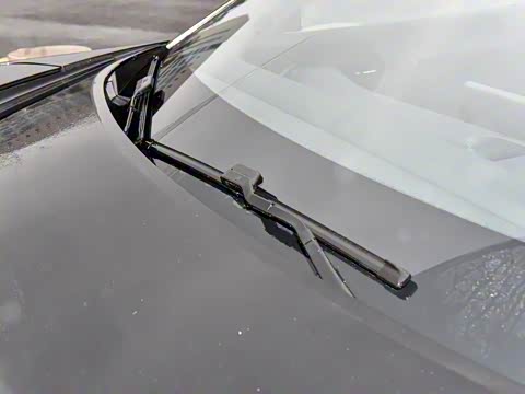 2024�� Max���������