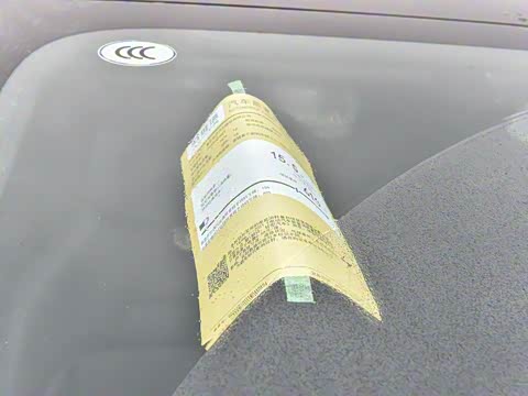 2024�� Max���������