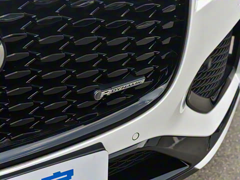 2025�� P250 R-Dynamic SE