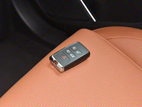 2025�� P250 R-Dynamic SE