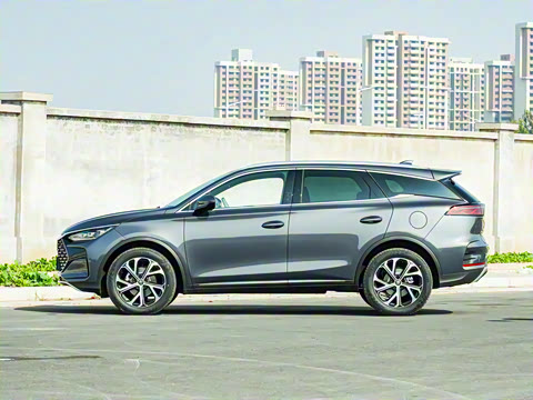 2025�� DM-i 115KM ������