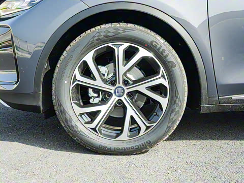 2025�� DM-i 115KM ������