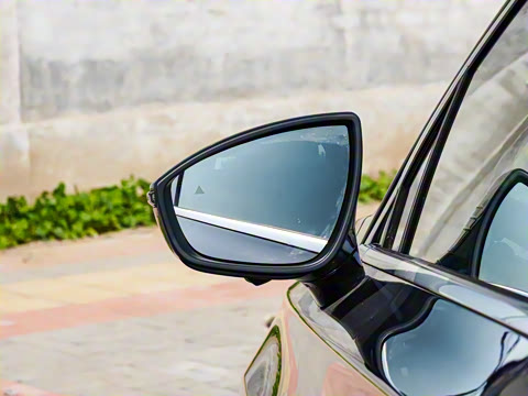 2025�� DM-i 115KM ������