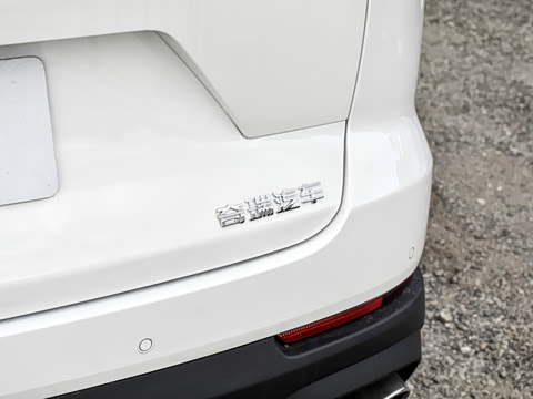 2025�� 390T ���������