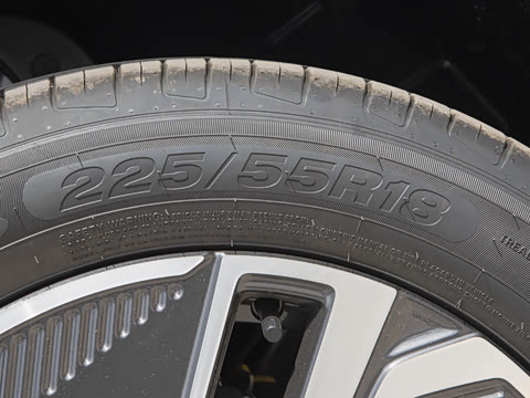 2025�� 55km ������