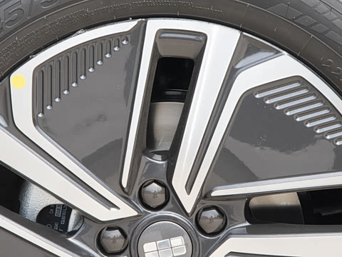 2025�� 55km ������