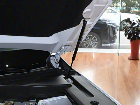 2025�� �캽ϵ�� 2.0TGDI ���������� 5��