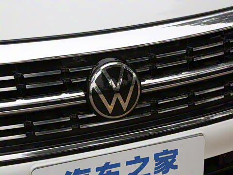 2025�� 300TSI DSG��Խ��