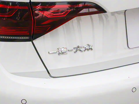 2025�� 300TSI DSG��Խ��