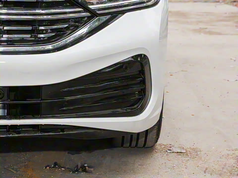 2025�� 300TSI DSG��Խ��