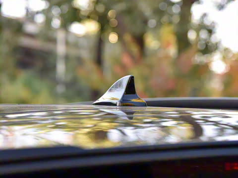 2025�� ������PLUS