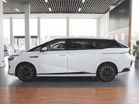 2025�� 650������ Max