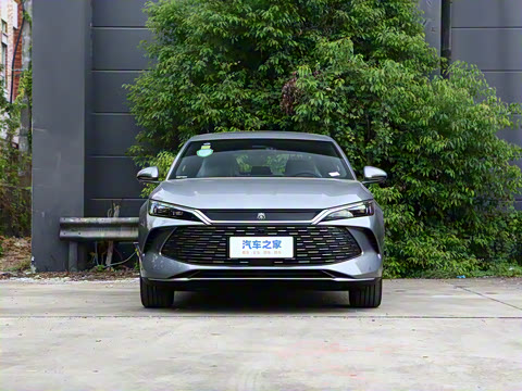 2024�� DM-i 120KM׿Խ��