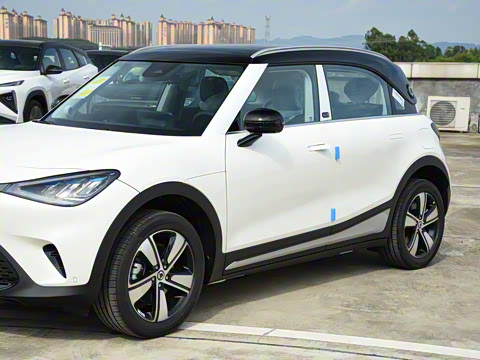 2026�� �鶯��������