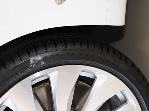 2024�� GT V8 Edition 8