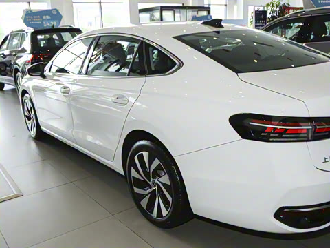 2025�� Pro 300TSI ��ҫ��