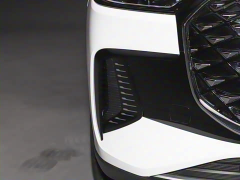 2025�� 290TGDI DCT�˷�� 