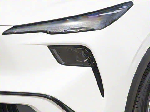 2025�� 445km ���ð�