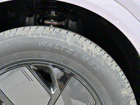 2025�� 625 ������ Max �콢��