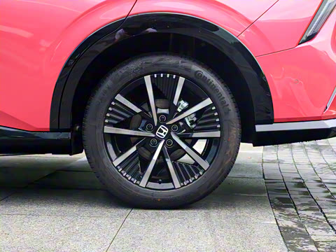 2024�� Ԧ���