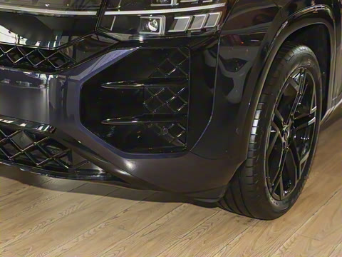 2025�� ;�� Pro 450TSI �����Ƿ��