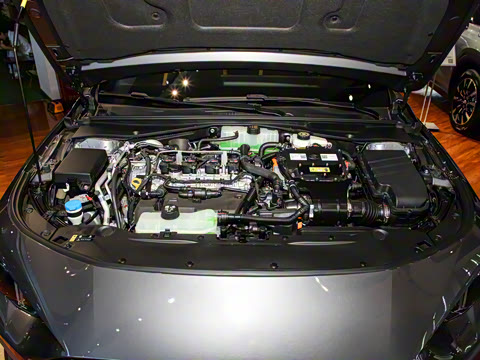 2023�� Ӱ��H ���ܻ춯��