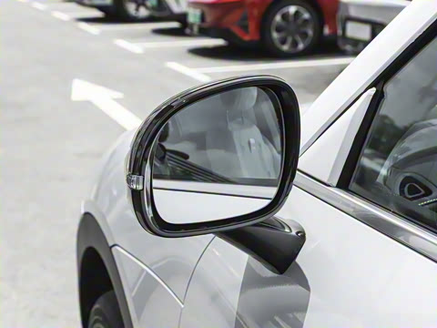 2026�� �鶯��������