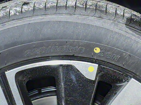 2025�� ���� ����� 230 ������