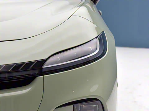 2024�� �����������