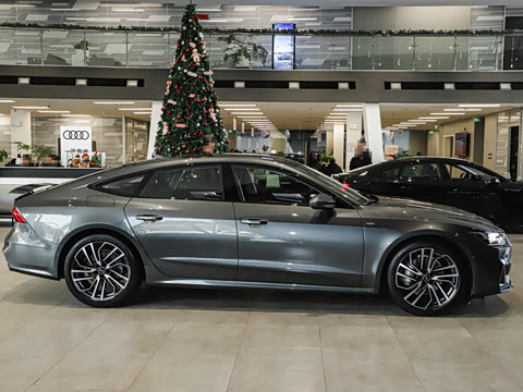 2025�� 45 TFSI ��ѡ��