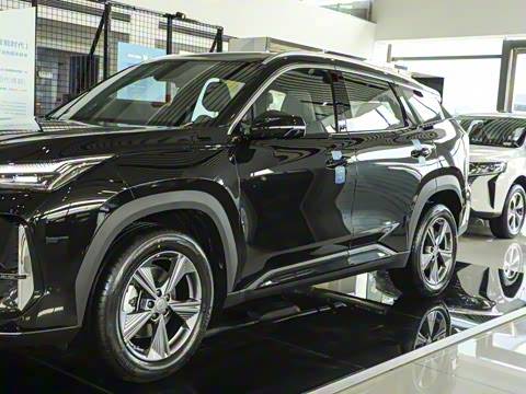 2025�� ���Ĵ� 1.5TD DCT �﷫