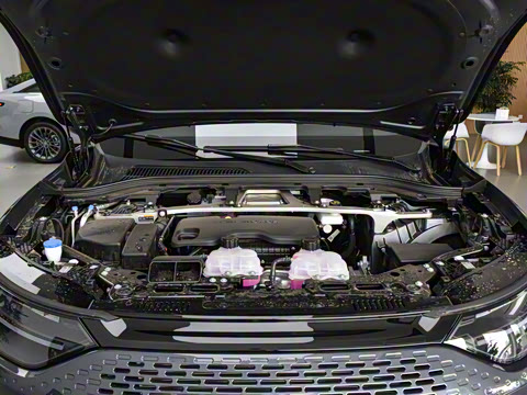 2024�� ���� 300������