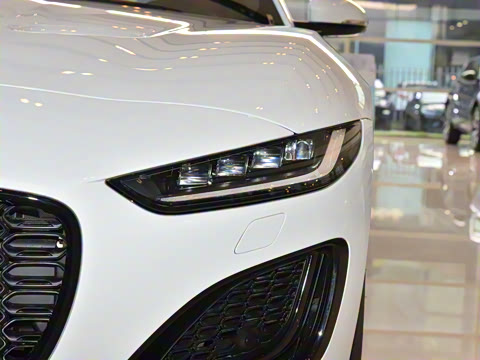 2024�� P300 75�����س����