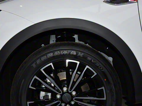 2025�� �ھ��� 1.5T �ֶ��ھ� 5��